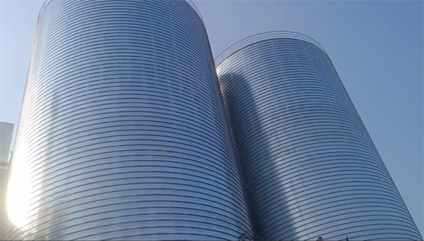 泽库2座混凝土高架卷板仓